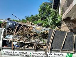 Best Hoarding Cleanup  in Barneveld, WI