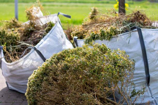 Professional Junk Removal Services in Barneveld, WI
