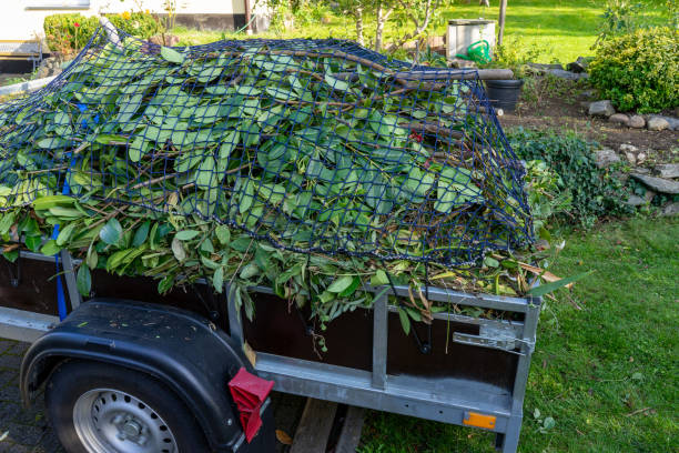 Best Estate Cleanout  in Barneveld, WI